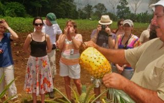 Discover Authentic Costa Rica Through community-managed Rural Tourism