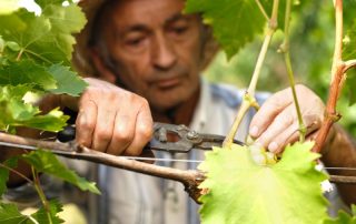 Ecotourism and sustainable tourism in Italy