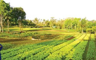 Philippines farm tourism