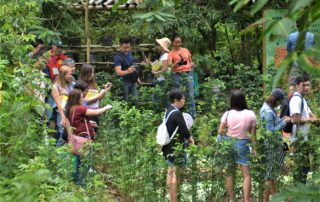 Philippines to lead Asia in farm tourism