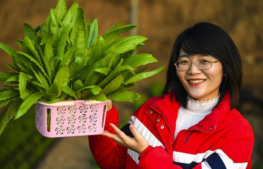 Ecological garden helps to develop rural tourism in Wuqiang, China