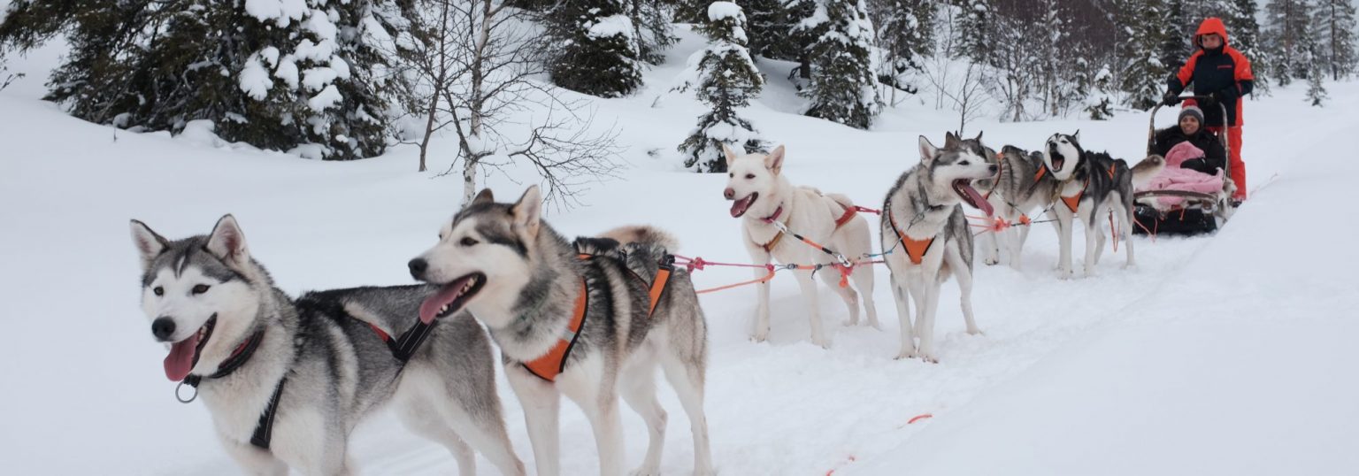 Finland-Hossa-Travel-1536×538 Finland-Hossa-Travel