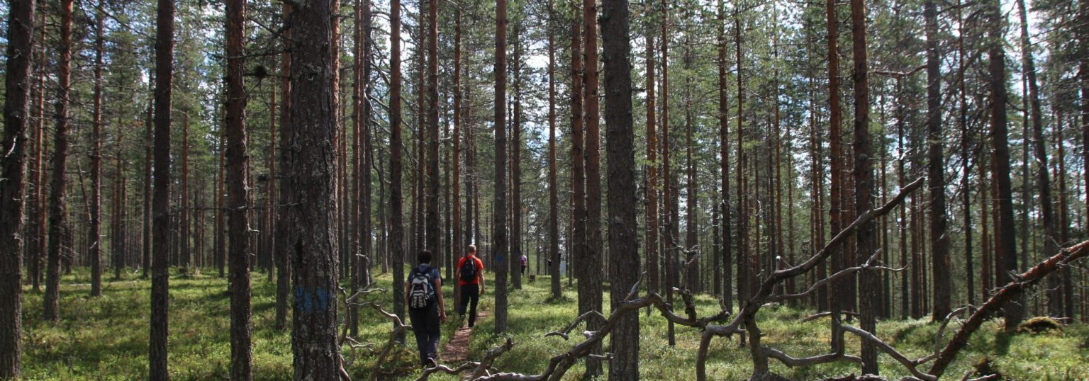 Finland-Hossa-Travel-2-1536×538 Finland-Hossa-Travel