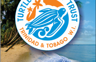 Trinidad-and-Tobago-Turtle-Village-Trust