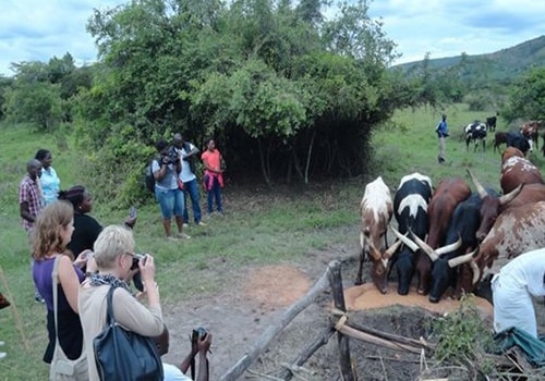 Uganda Community Tourism Association
