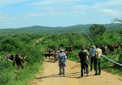 One Village Tours Uganda