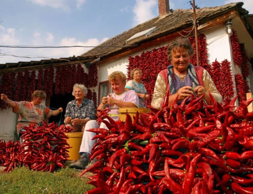 Croatia launches campaign to promote rural tourism, search for quieter destinations